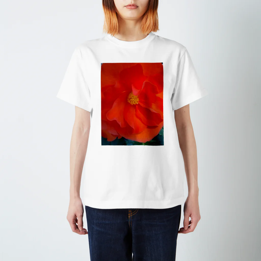 Dreamscape(LUNA)の太陽の様に Regular Fit T-Shirt