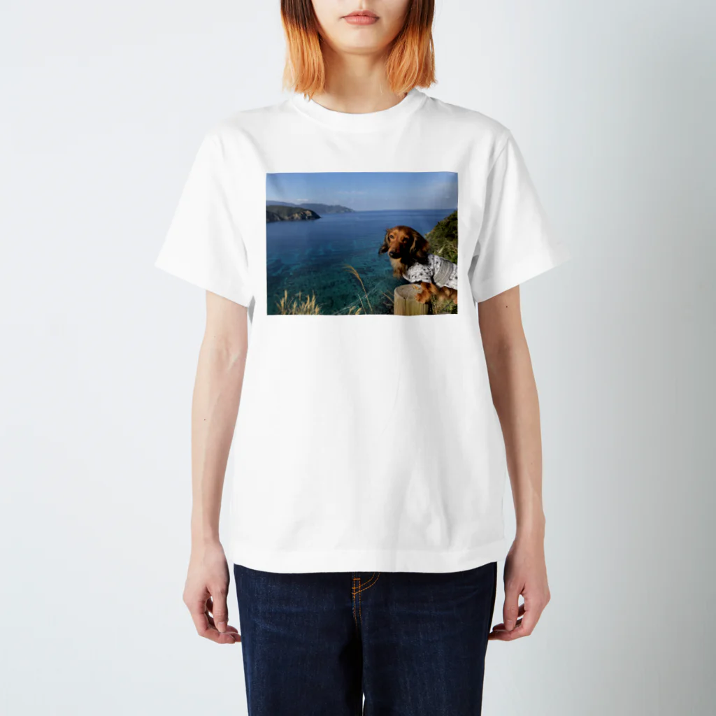 ナンバープレート風Ｔシャツのダックスフンド×Tシャツ（アップル×奄美大島） スタンダードTシャツ