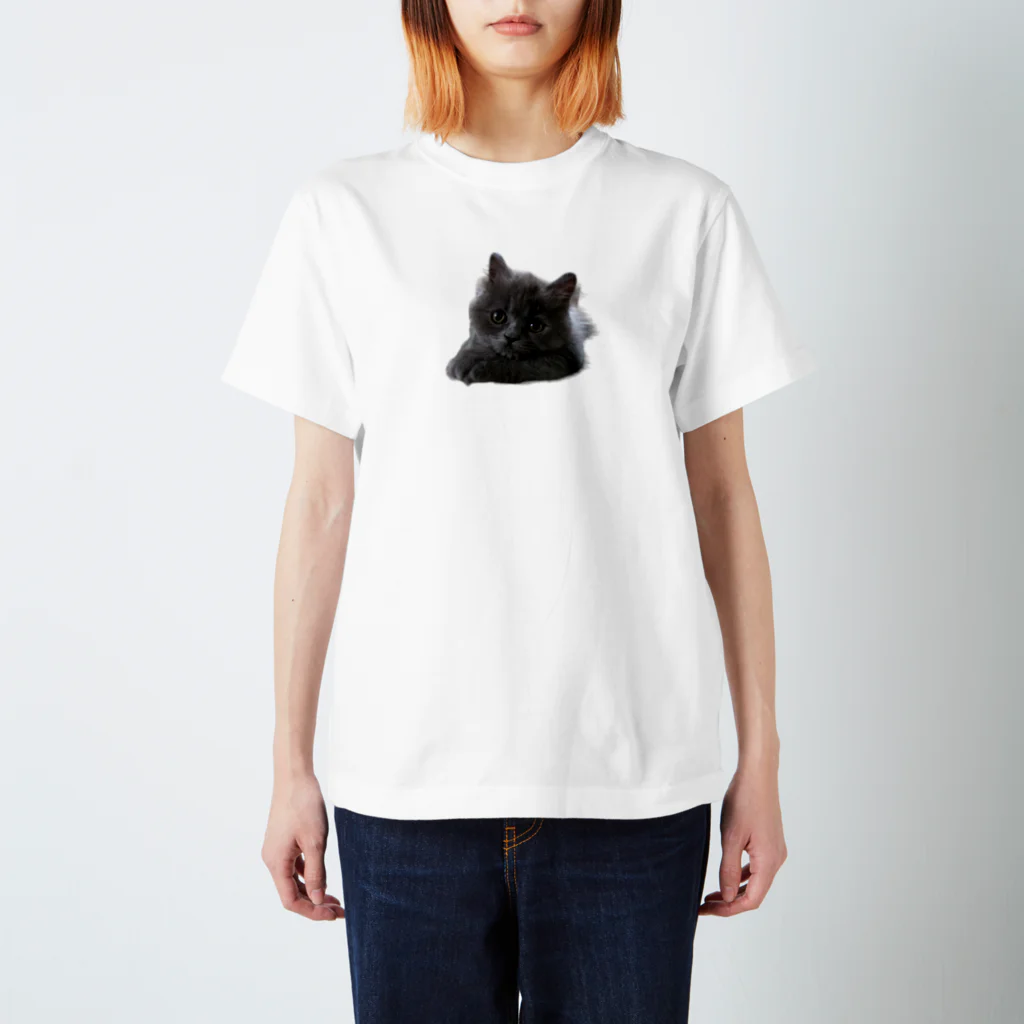 sua_britishblueの子猫のスアちゃん スタンダードTシャツ