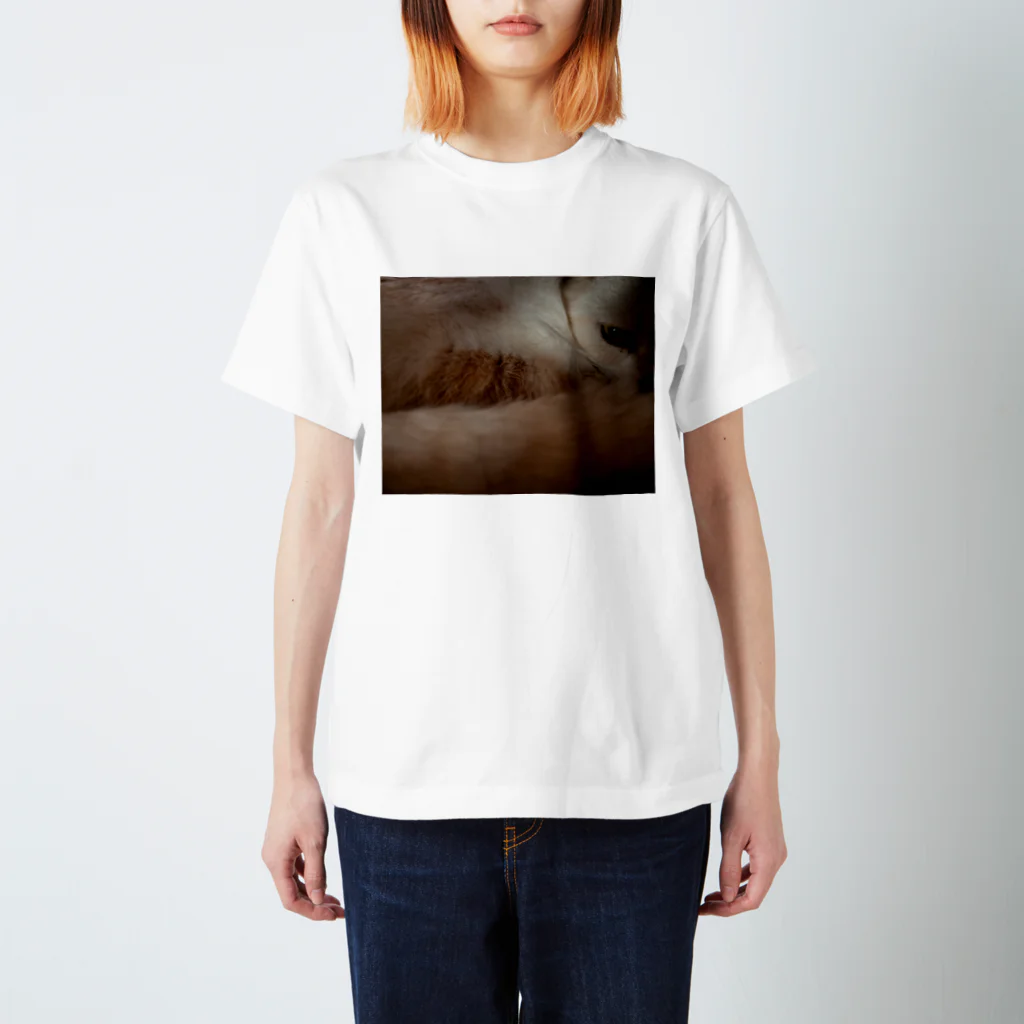 sanada_yurikoの猫のめぢから Regular Fit T-Shirt