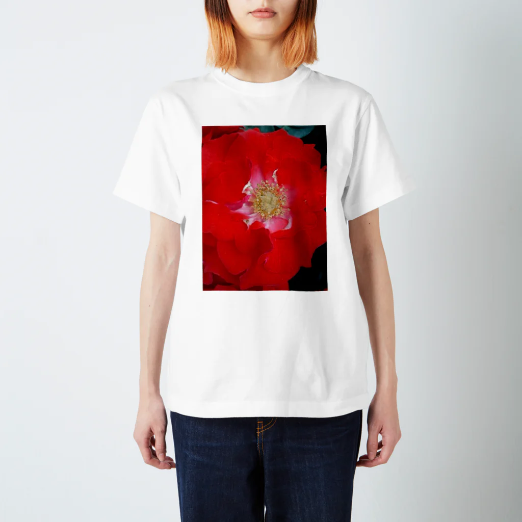 Dreamscape(LUNA)のあなたへ・・・ Regular Fit T-Shirt