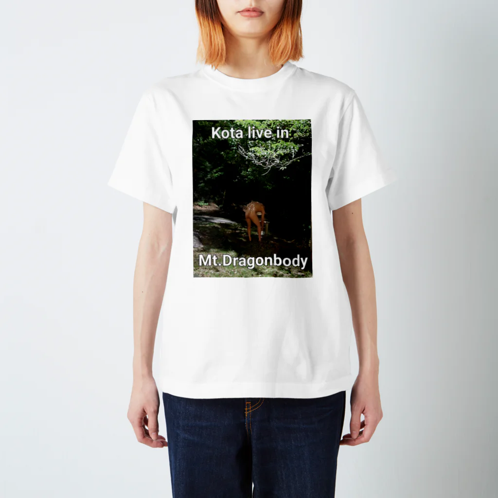 たQまのMt. Dragonbody スタンダードTシャツ