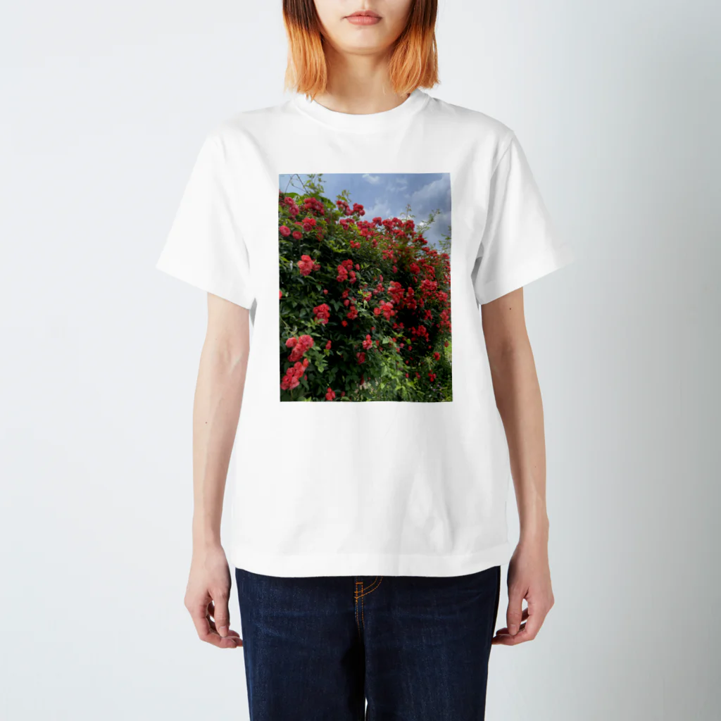 Zunco☺︎のrose garden🌹 スタンダードTシャツ