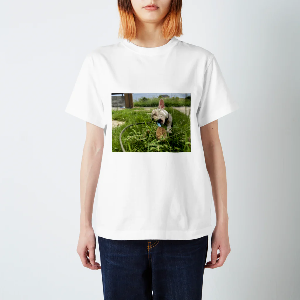 ゲトーファンクの愛犬　せんず君　Tシャツ スタンダードTシャツ