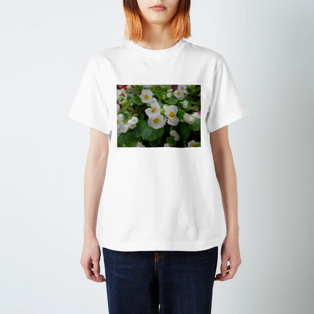 Dreamscape(LUNA)のそろって咲いて・・・No.3 スタンダードTシャツ