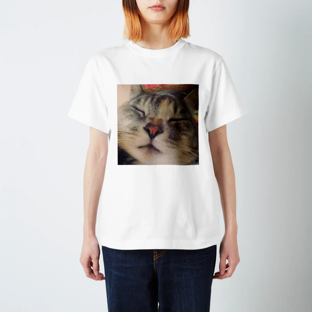 かばこのとろmomo Regular Fit T-Shirt