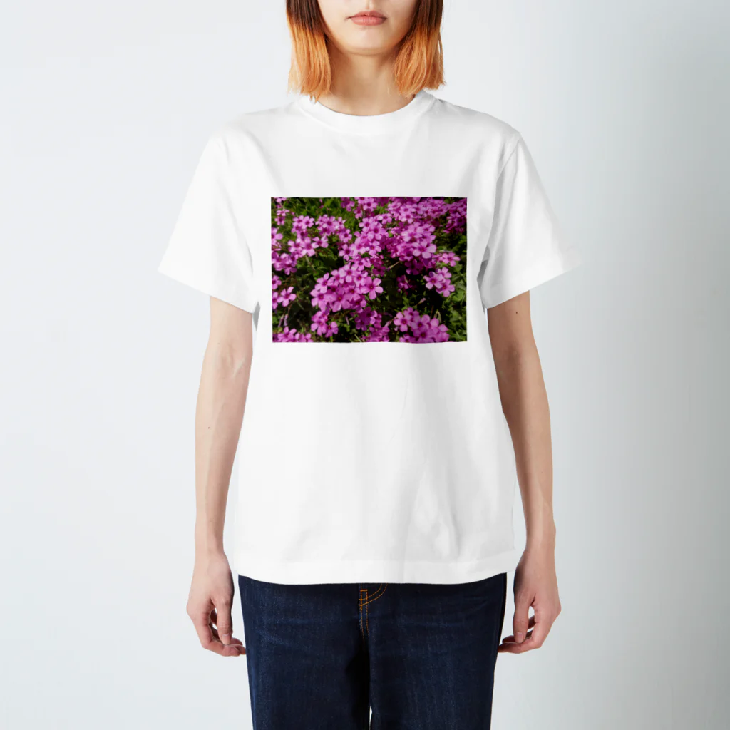 Dreamscape(LUNA)の野の花の可憐さ・・・ スタンダードTシャツ