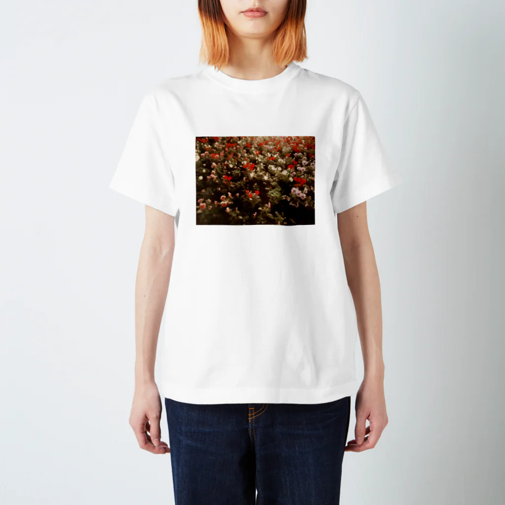 クルミの夜の花壇 スタンダードTシャツ