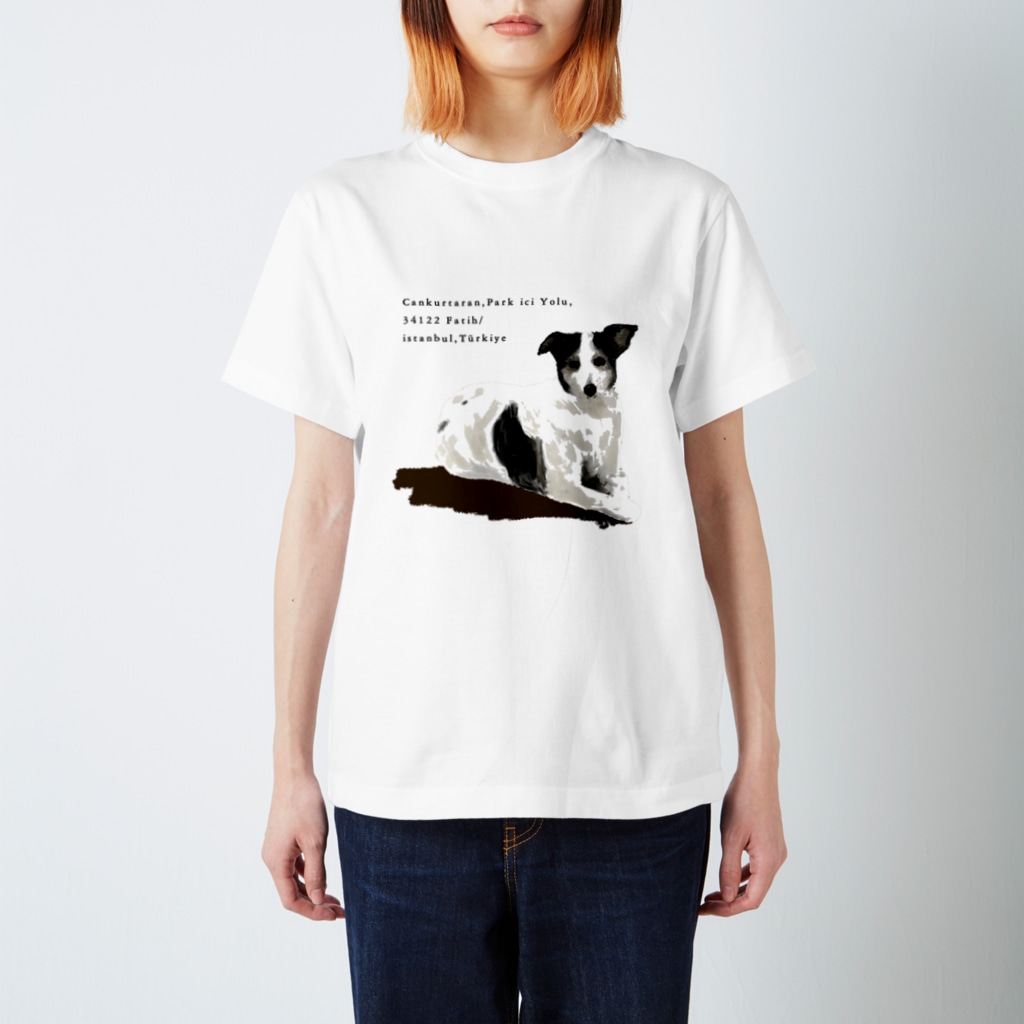 e r i k u r i nのトルコの野良犬さん（スルタンアフメト・モスク） Regular Fit T-Shirt
