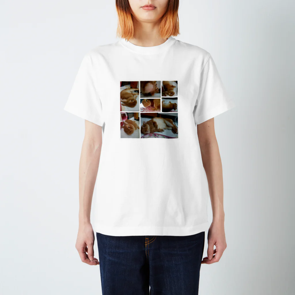 ぽんちゃ ring＠のうさぎのぽんちゃのコロリーヌ Regular Fit T-Shirt