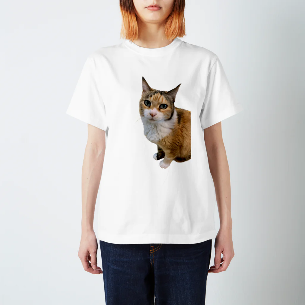 ルーコの猫グッズ店のナツコ スタンダードTシャツ