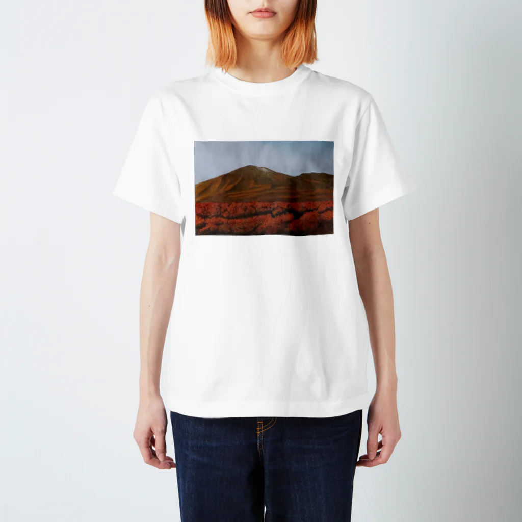 しろくろねこの浅間山 Regular Fit T-Shirt