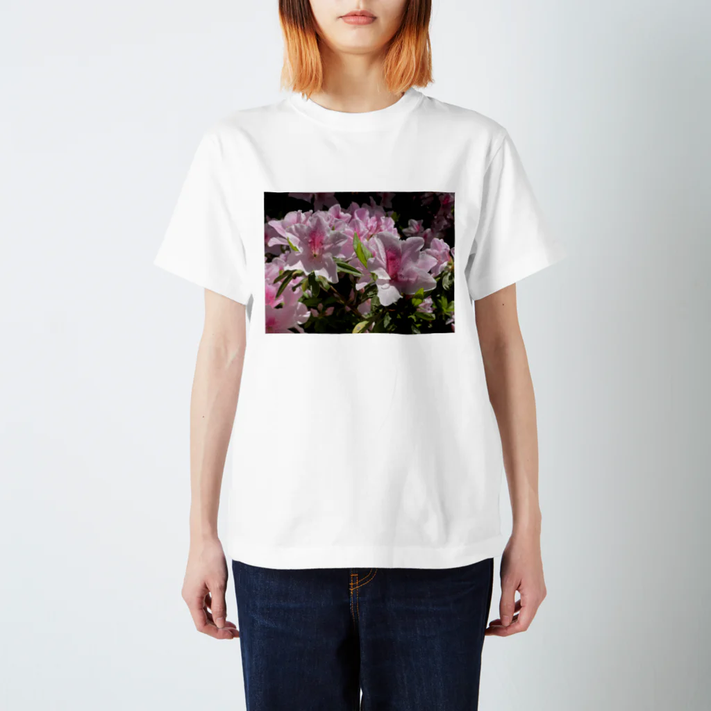 sadotrip | Delightのsadotrip | 花咲く スタンダードTシャツ