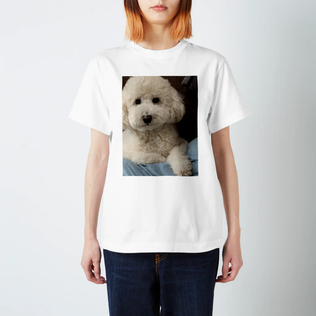 0526riのりつくんTシャツ🐶 スタンダードTシャツ