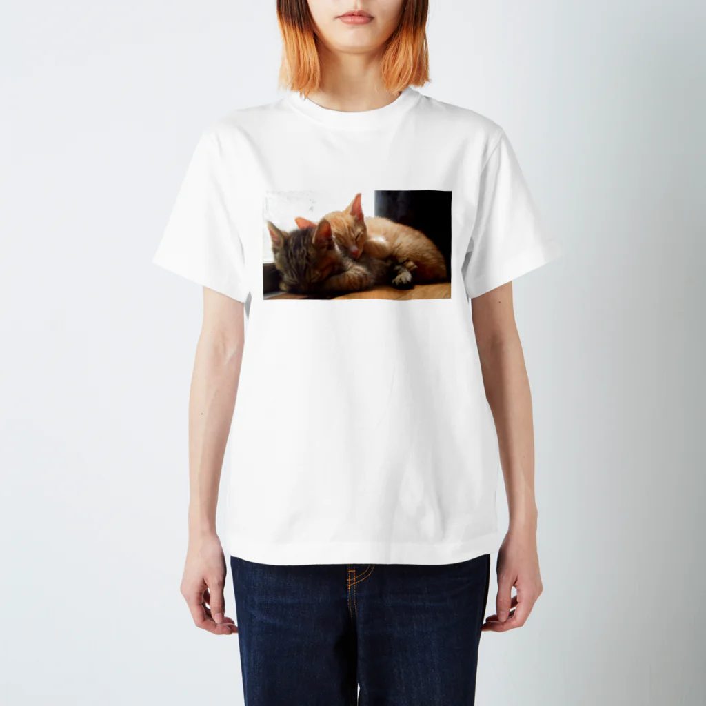 hikamiのふたりの寝姿 スタンダードTシャツ