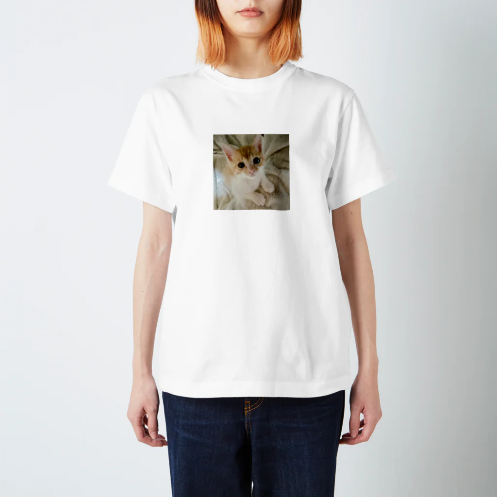 shirochansの保護猫ちゃん スタンダードTシャツ