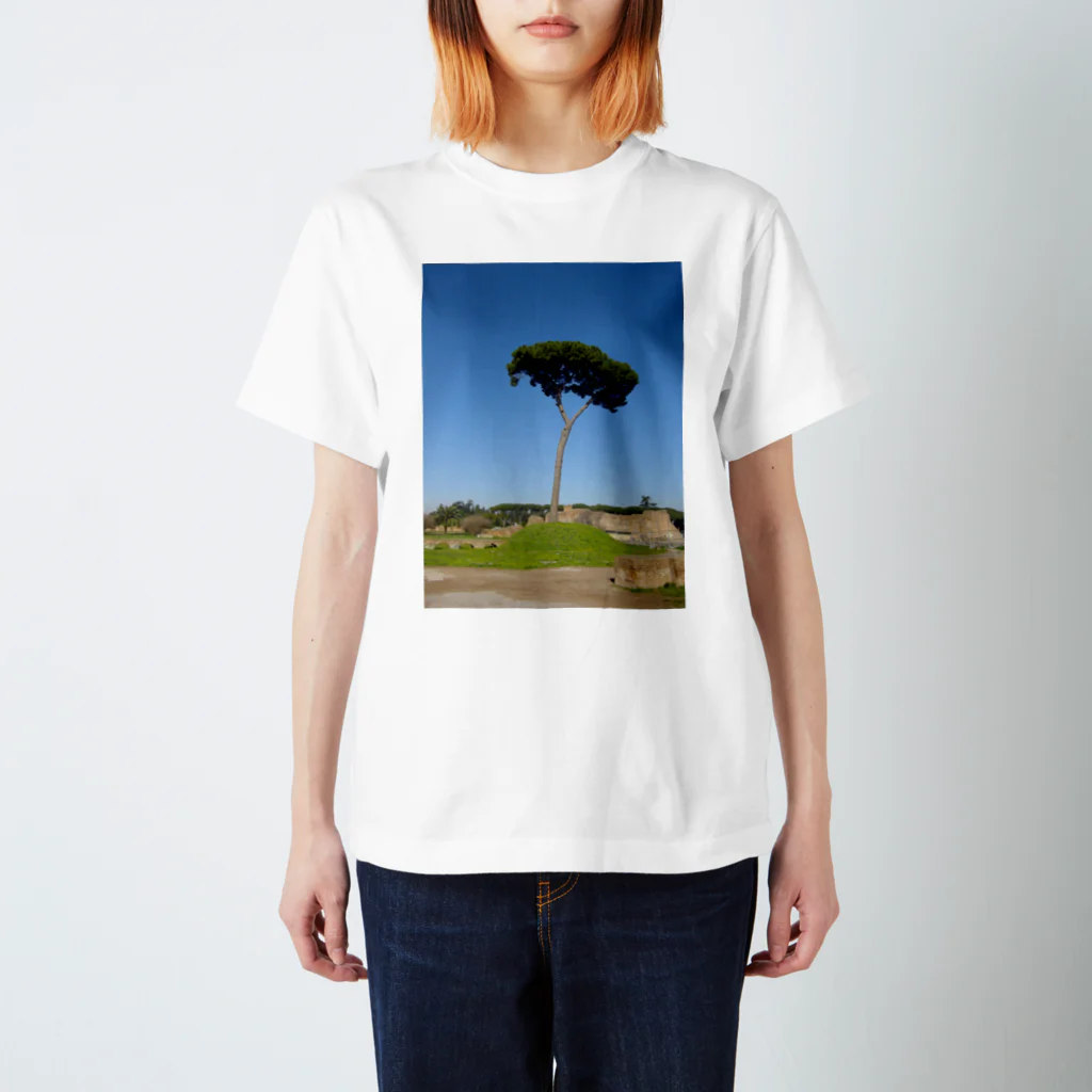 memory treeのどこまでも澄み渡る Regular Fit T-Shirt