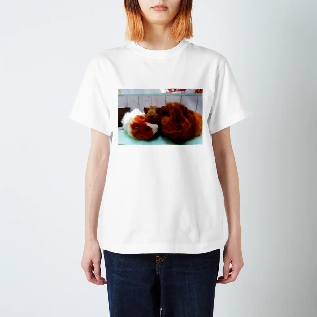 あかね◡̈4モルの飼い主🔔🧀🐹の焼き鳥モルモット ぽんぽち ねぎま 月見 スタンダードTシャツ