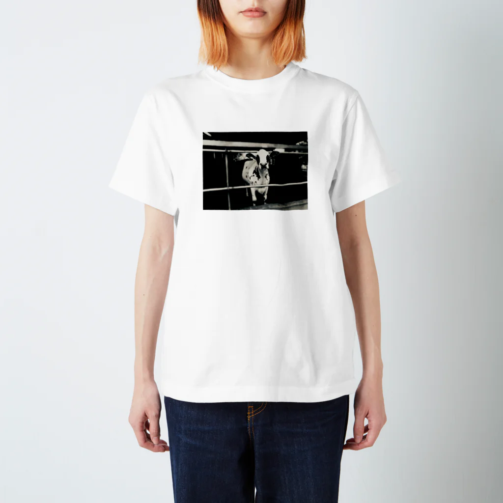 ストッコランドの牛 Regular Fit T-Shirt