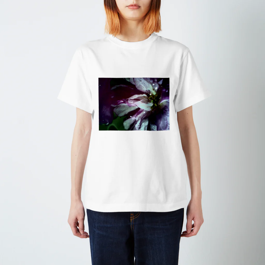 防空壕小林の花2 スタンダードTシャツ