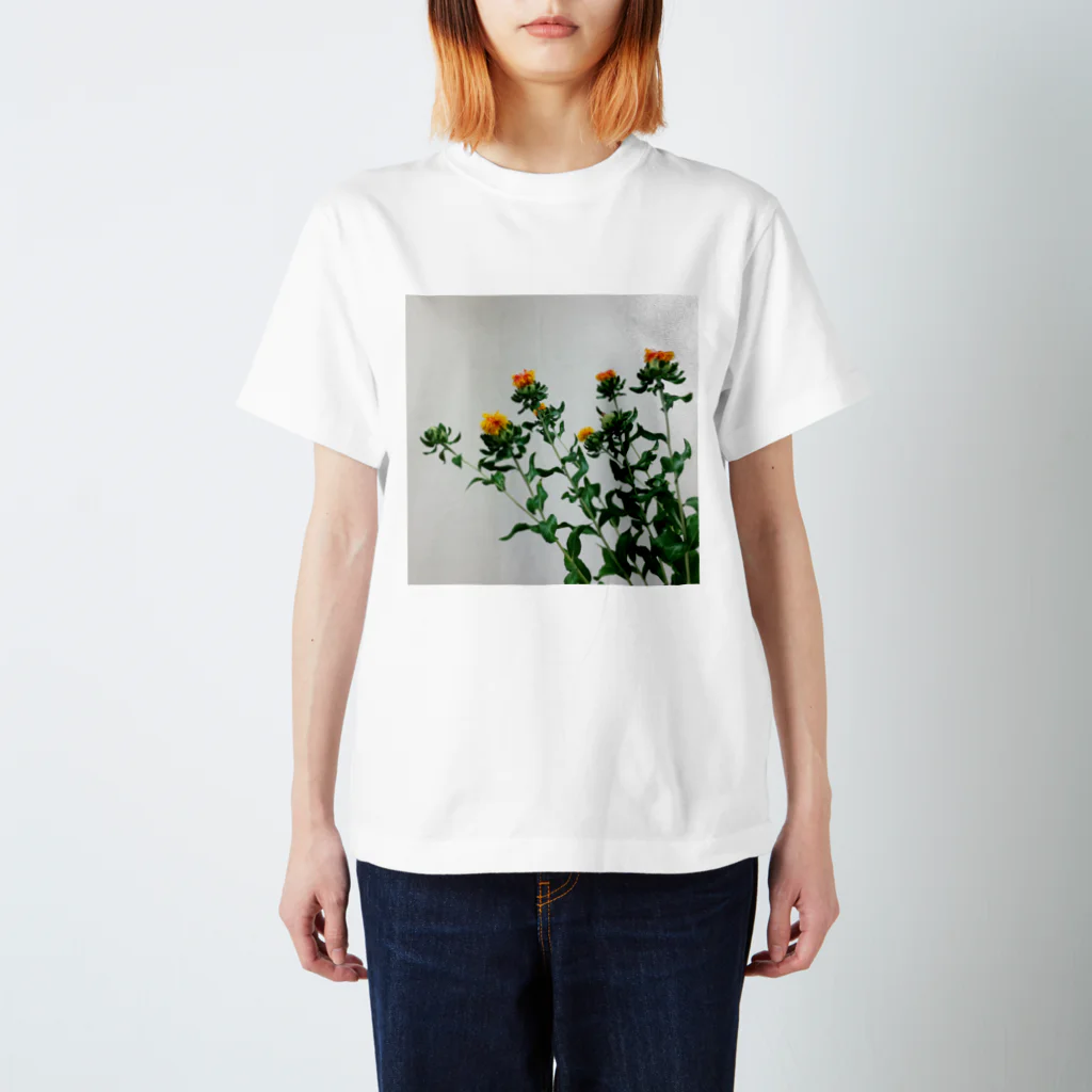 kirinorangeのベニバナ Regular Fit T-Shirt