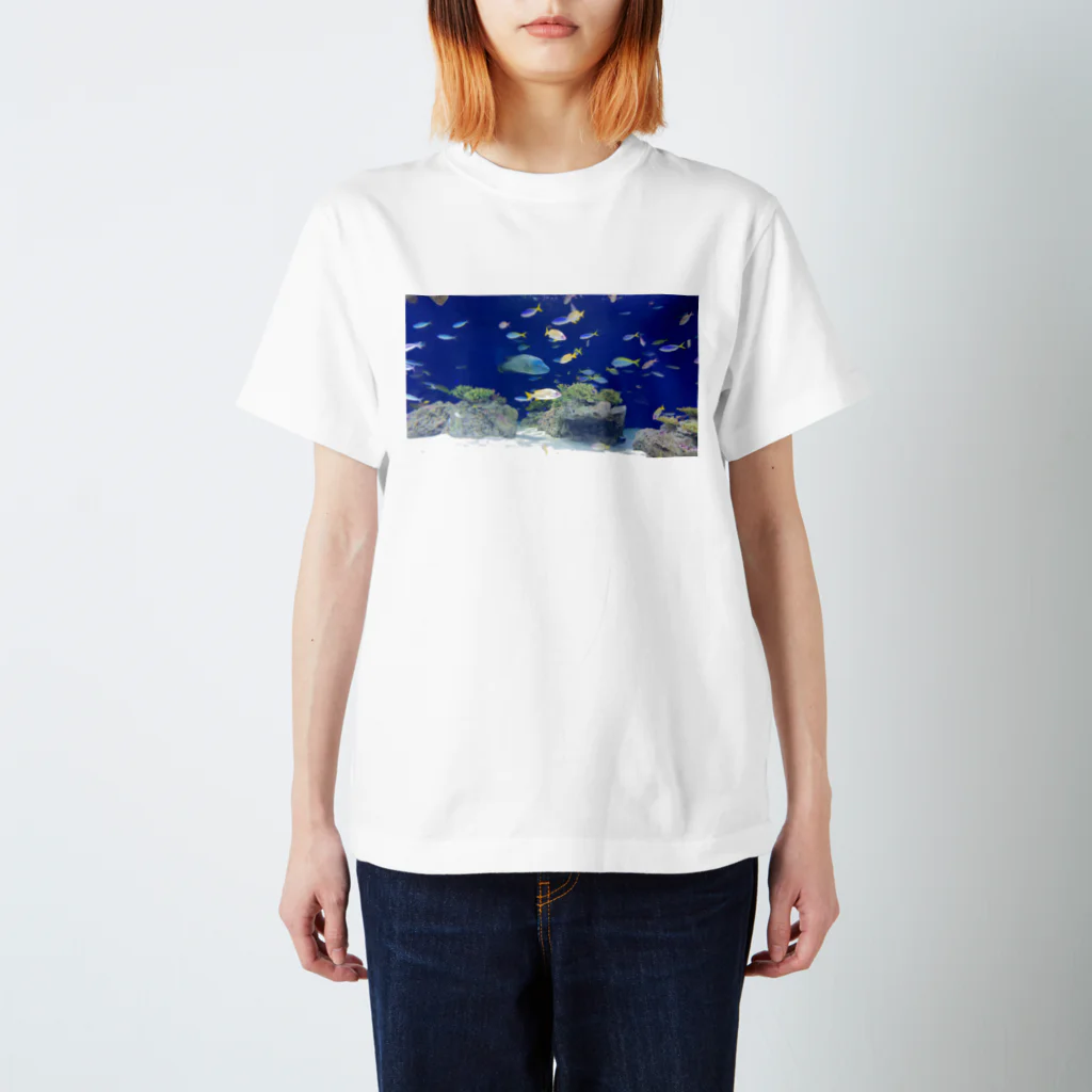 Hsのアクアリウム スタンダードTシャツ