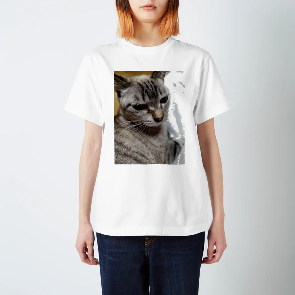 ねこの森でお散歩のさあ、モフりなさいよ。 Regular Fit T-Shirt