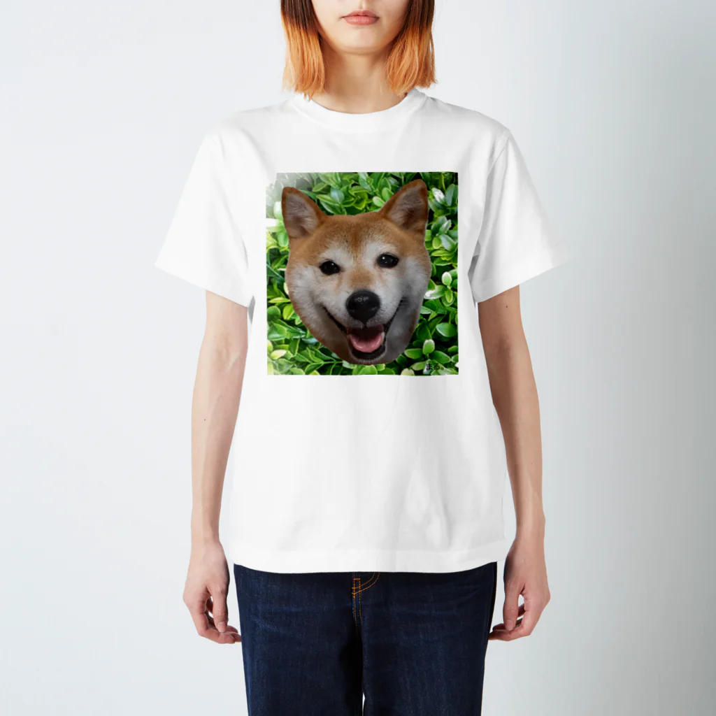 豆柴まる。の豆柴まる。 スタンダードTシャツ