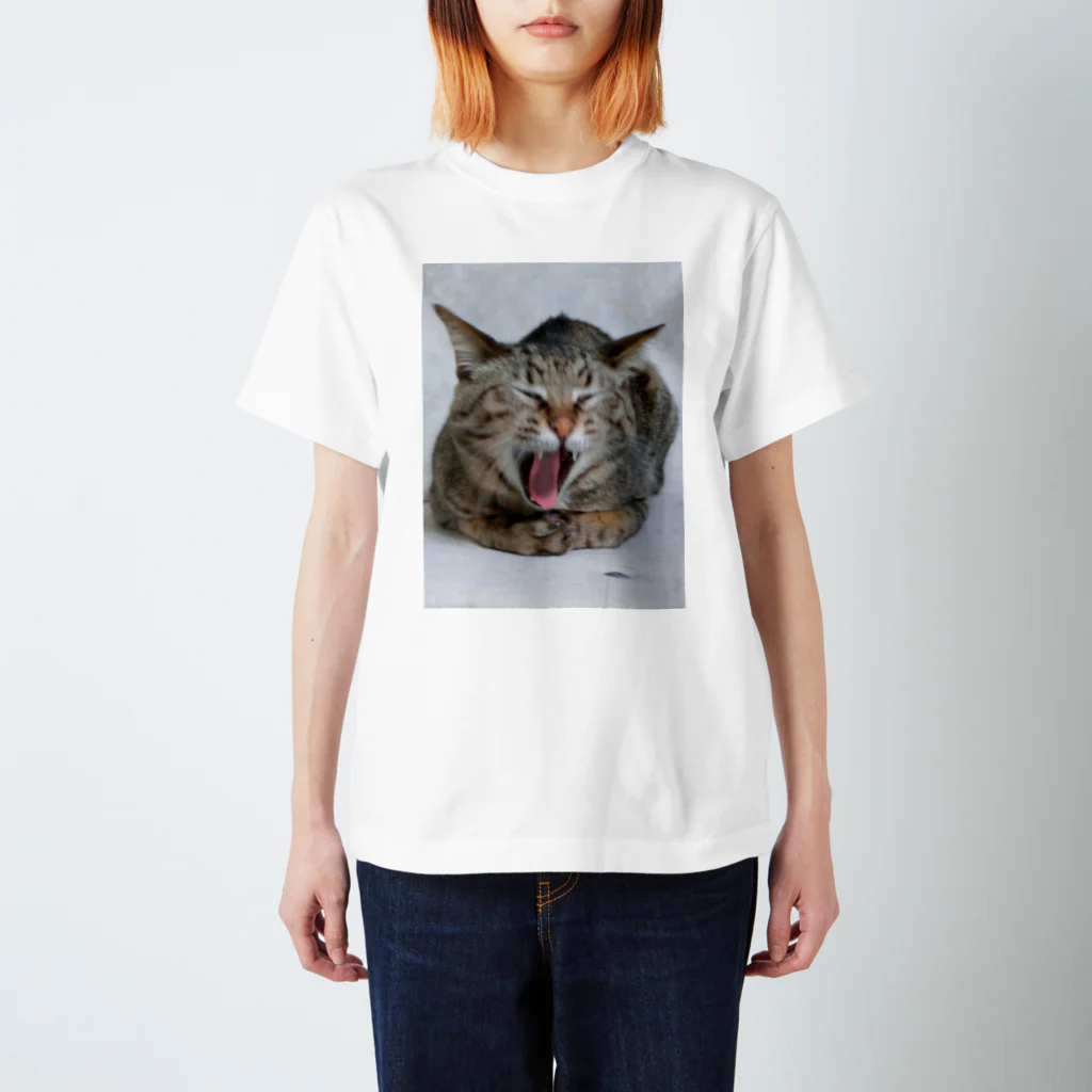 笑い猫堂SUZURI店の雉猫大欠伸 Regular Fit T-Shirt