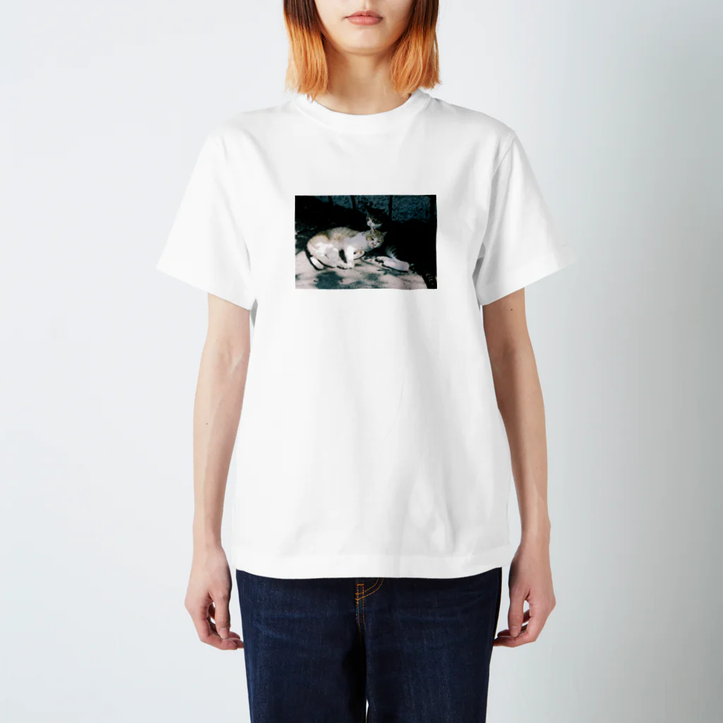 FILM CANERA FANのロモクロームメトロポリス/寄り添うネコ Regular Fit T-Shirt