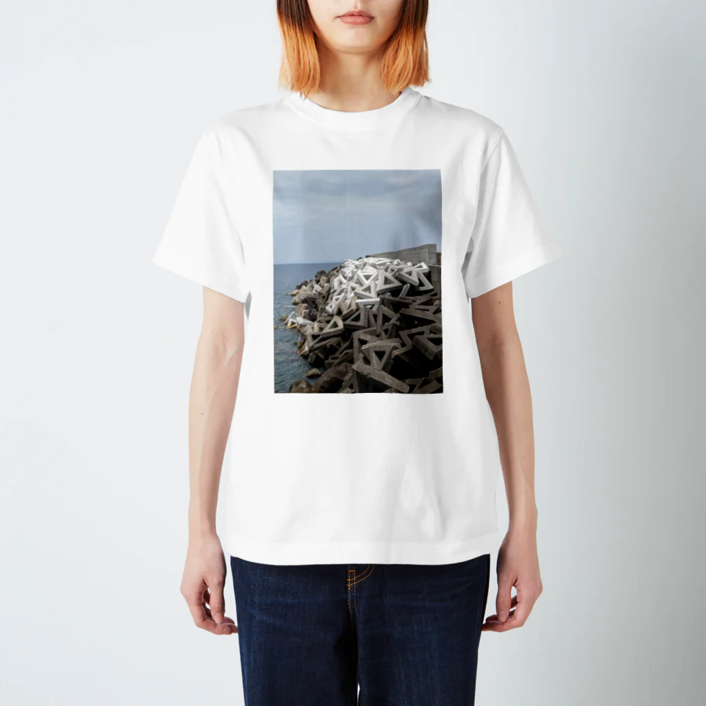 𝕕𝕖𝕖𝕖𝕝𝕚𝕥𝕖のリンクアンプがめっちゃ落ちてる スタンダードTシャツ