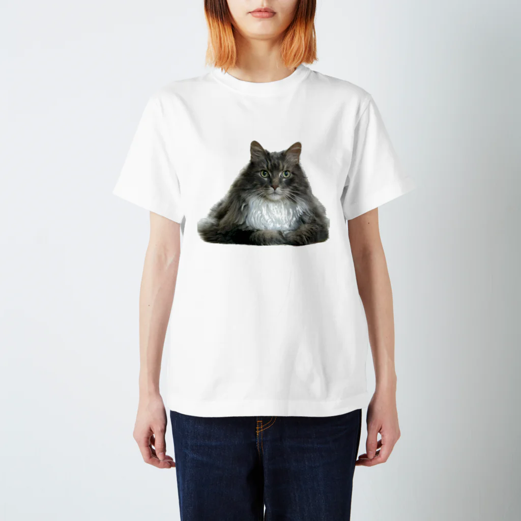 nyaosanのねこ スタンダードTシャツ