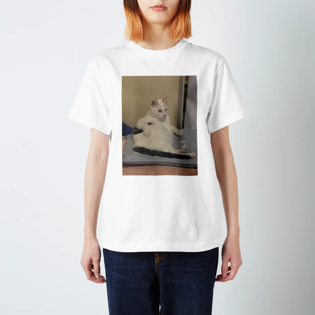 僕、牛じゃないです。猫です。のおっさん猫だらだらメモ Regular Fit T-Shirt