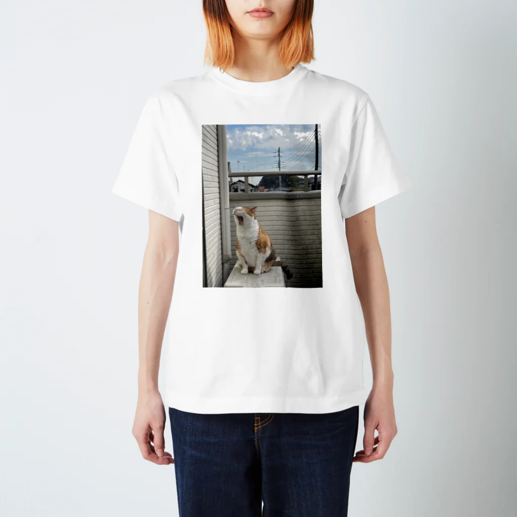 Relaxed moodの1日のはじまりはじまり猫ver Regular Fit T-Shirt