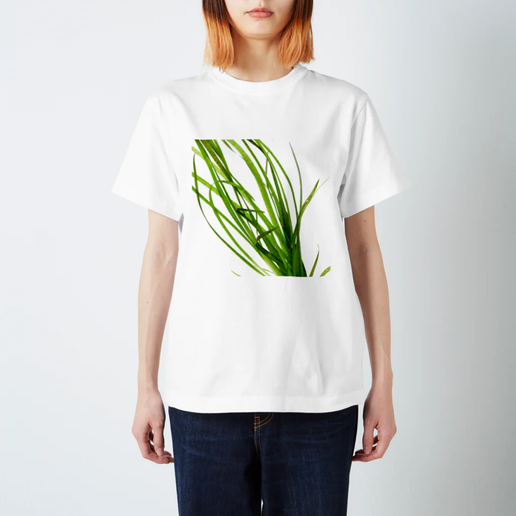 Aquarium Kindの水草Tシャツ Regular Fit T-Shirt