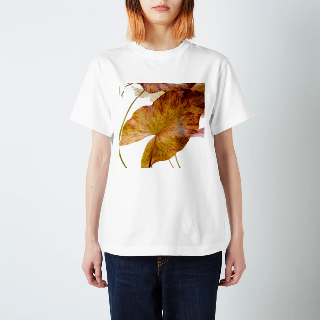 Aquarium Kindの水草のTシャツ Regular Fit T-Shirt