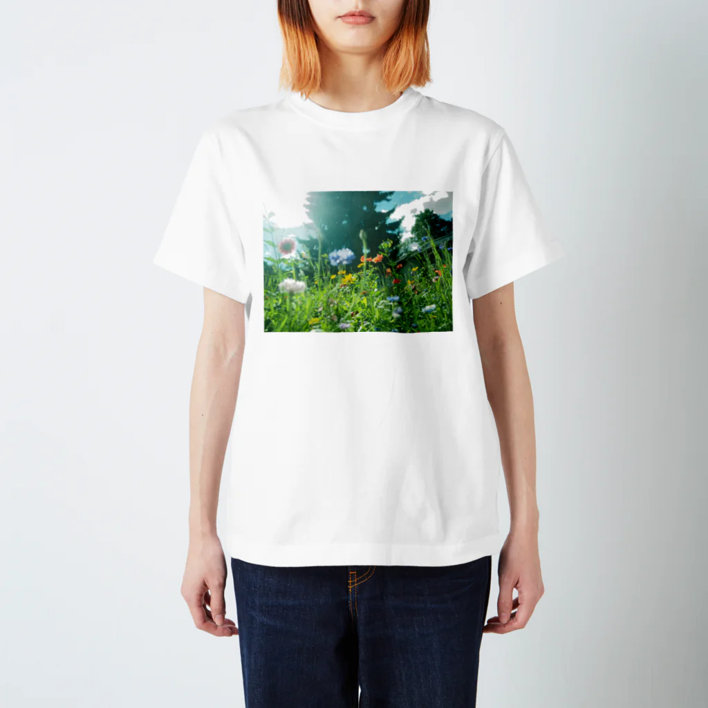 世界のどこかの光の先に / Denmark Regular Fit T-Shirt