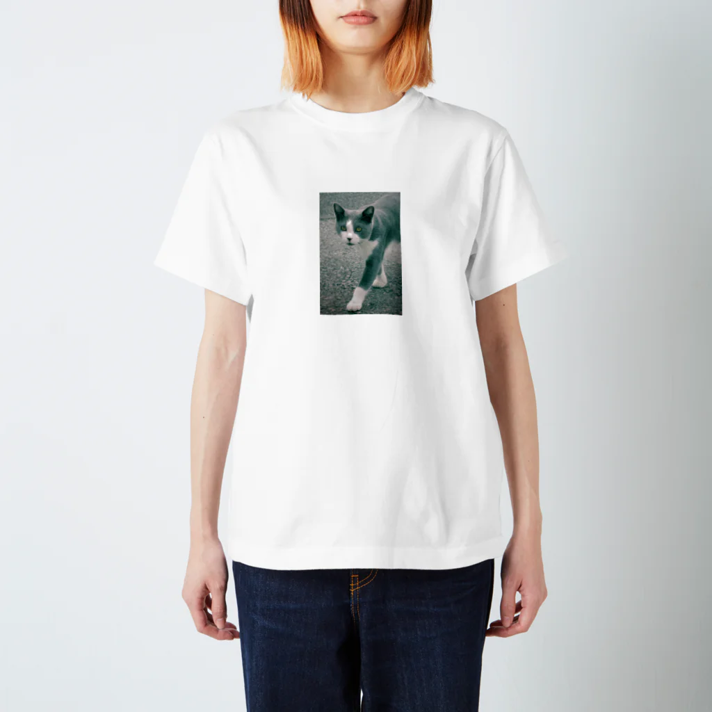 umetaroのさしあし Regular Fit T-Shirt