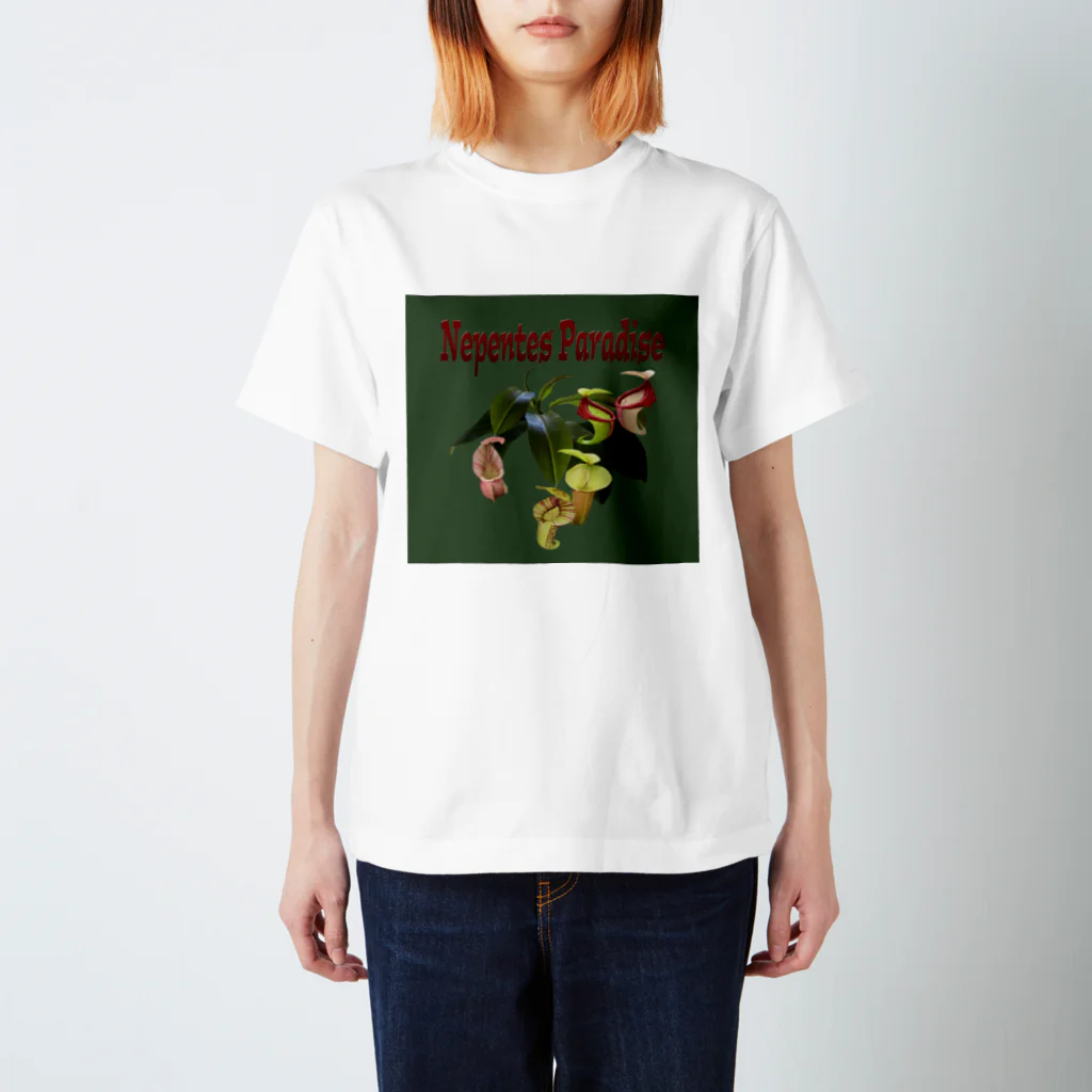 Exotc Peony～絵夢～のNepentes Paradiseシリーズ緑 スタンダードTシャツ