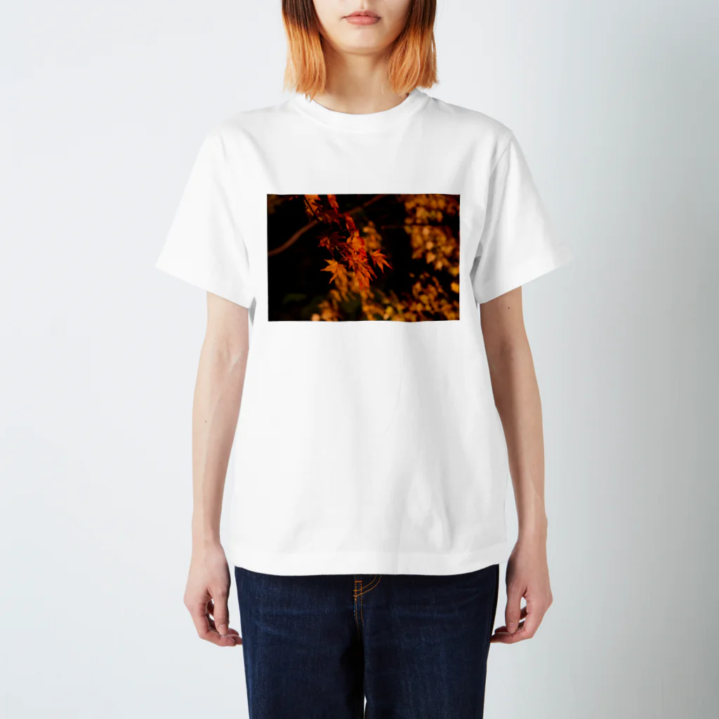 nokkccaのライトアップ紅葉 - Japanese maple(night shot) - スタンダードTシャツ