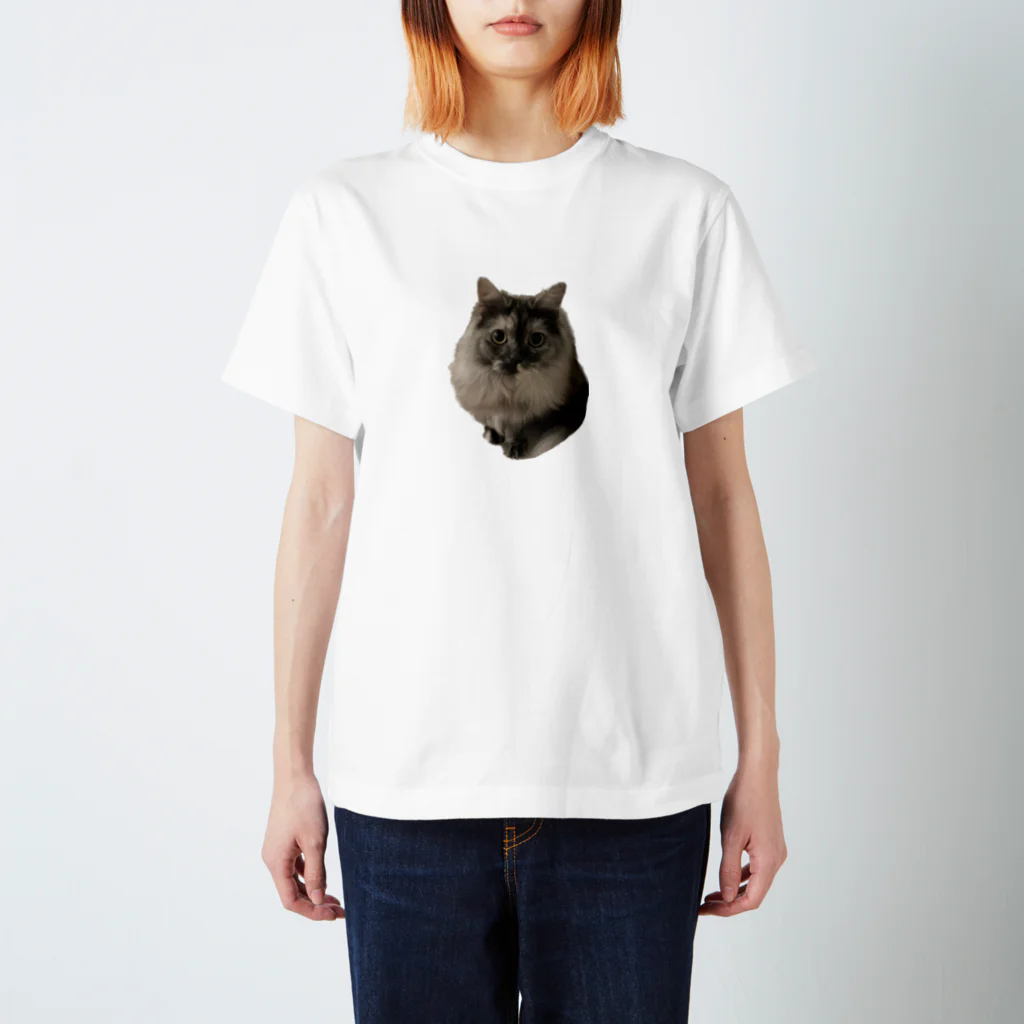 ドッポちゃんの可愛いモフ猫 スタンダードTシャツ
