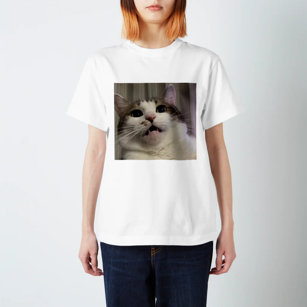 E.pmjのうちの猫 スタンダードTシャツ