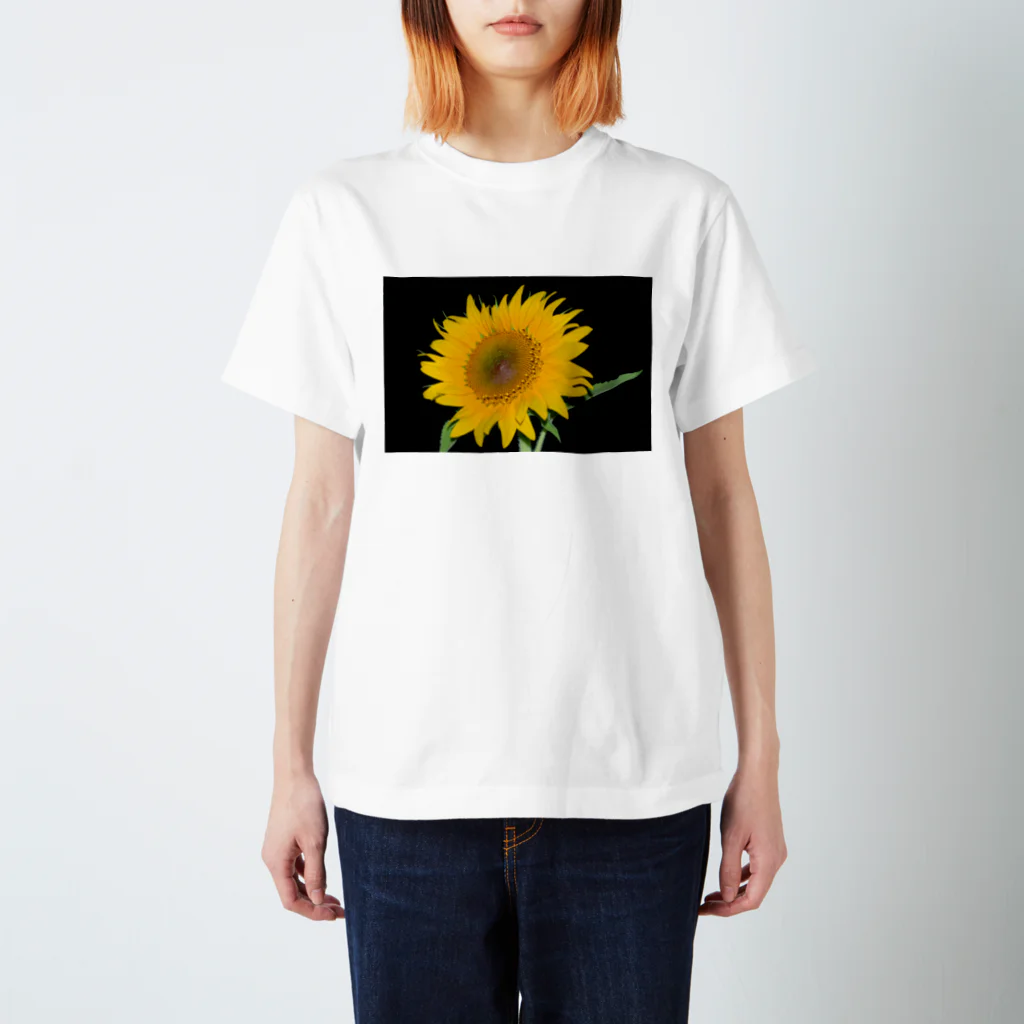 古川　曻一のひまわり Ⅱ Regular Fit T-Shirt