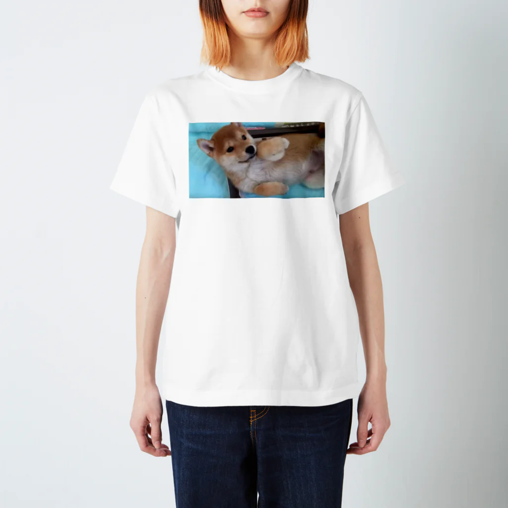 チャットシャルムの犬だよ〜 スタンダードTシャツ