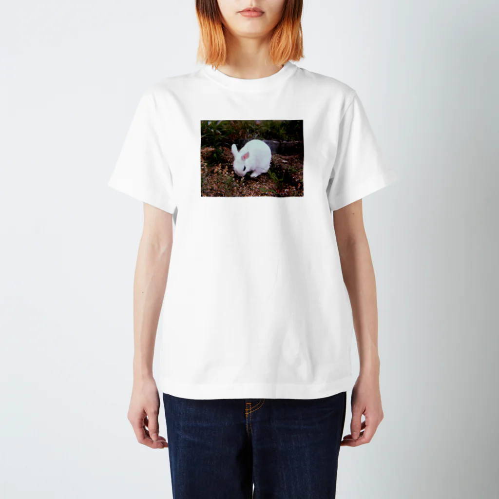 BUNNY GのSOFIA スタンダードTシャツ