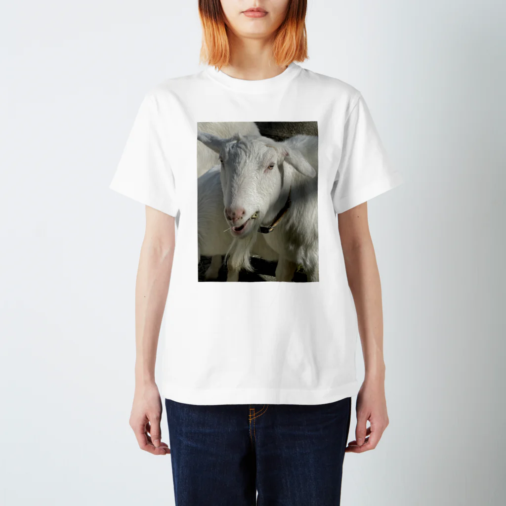 えんまのよく撮れたヤギ Regular Fit T-Shirt
