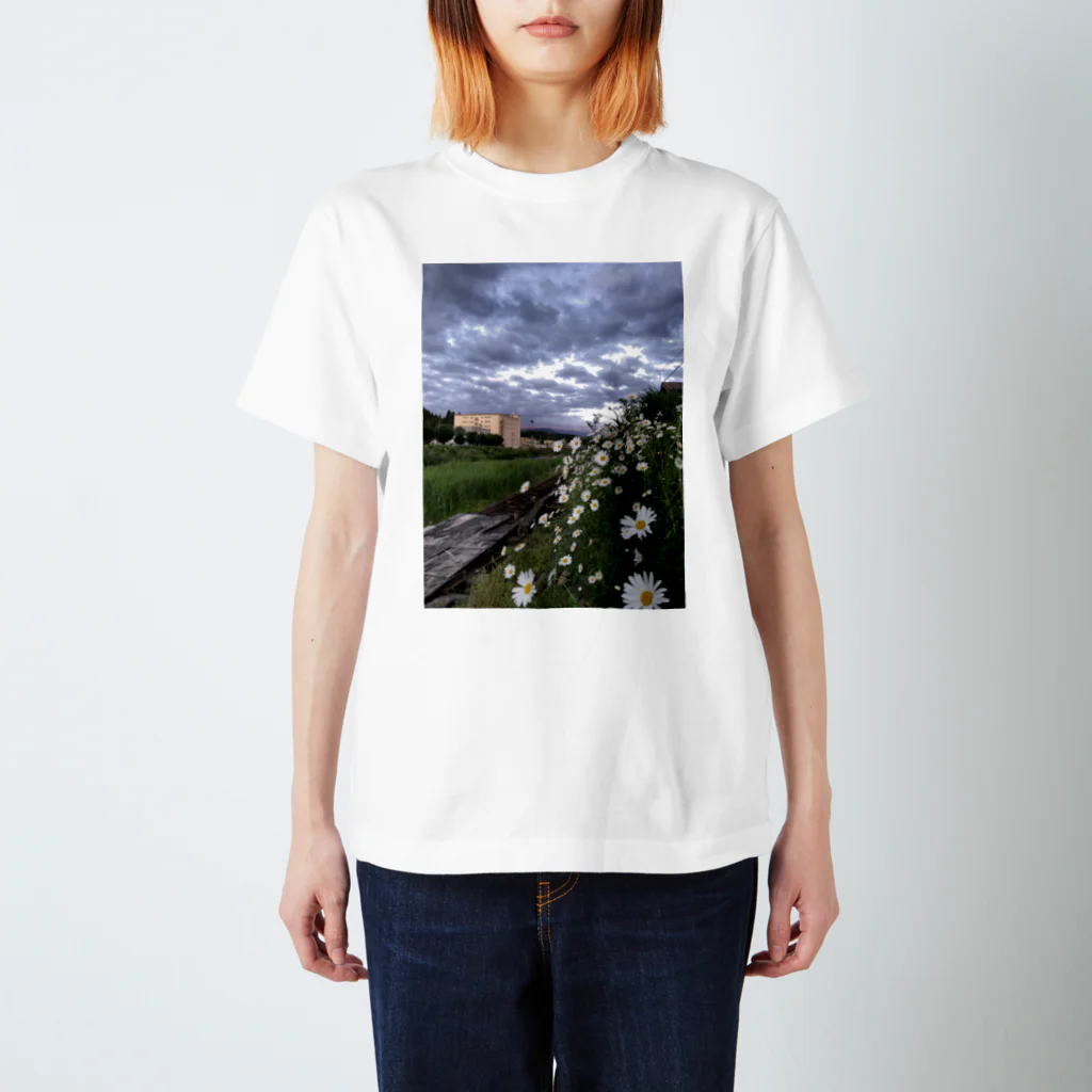 おとうふのお花と曇り空 Regular Fit T-Shirt