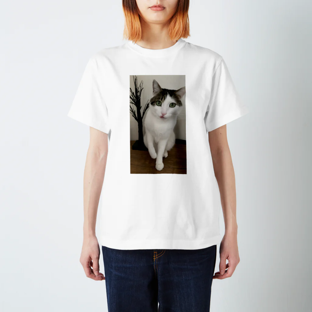 飴色の猫の紋さん(ペロリ) スタンダードTシャツ