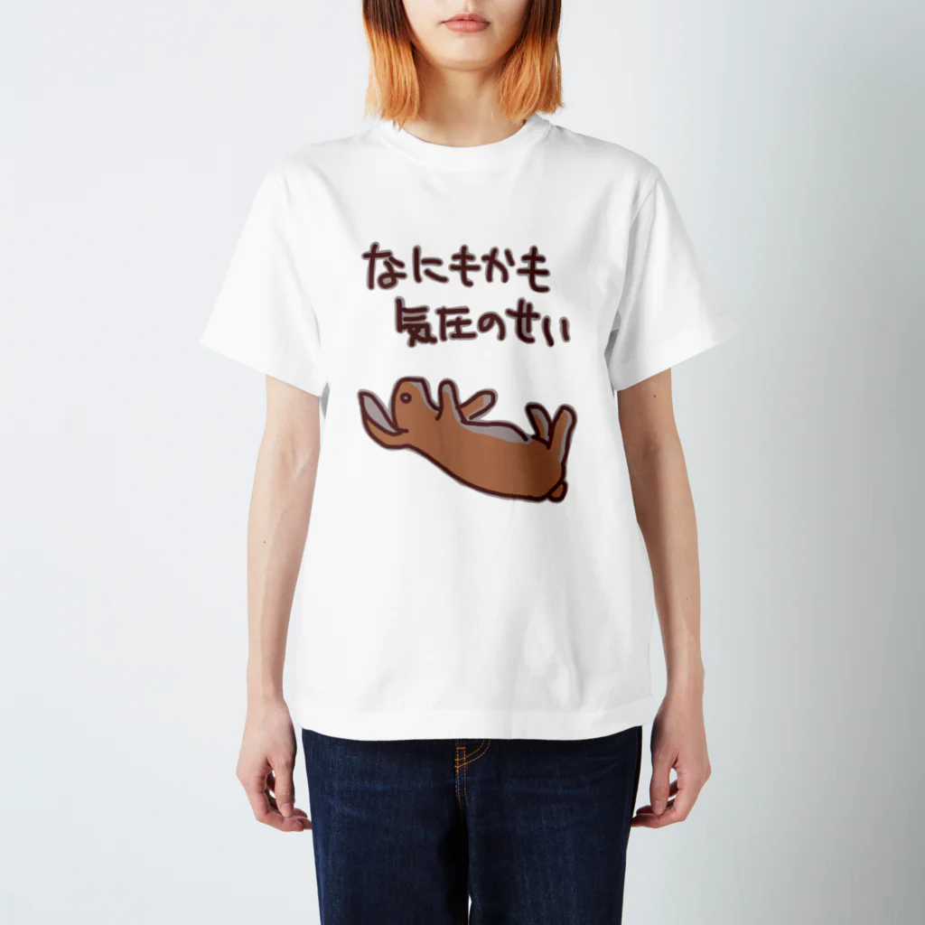 ミナミコアリクイ【のの】のなにもかも気圧のせい【うさぎ】 スタンダードTシャツ