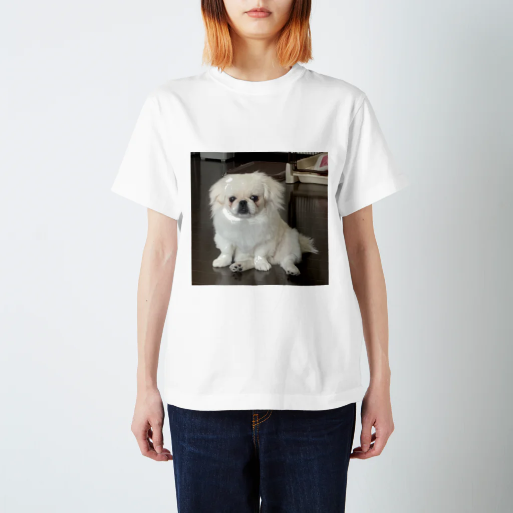 鼻毛ラプソディの鼻ラプん家の犬 Regular Fit T-Shirt